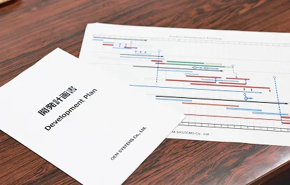 Development Plan image